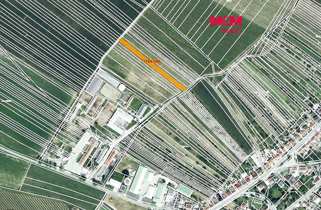Prodej sadu, vinice 226 m²